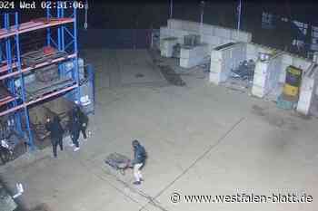 Delbrück: Polizei holt mutmaßliche Kupferdiebe vom Baum