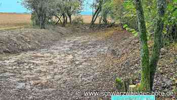 Natur in Wildberg: Tümpel werden für Grasfrosch und Co. saniert