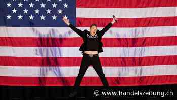 Der verrückte Plan von Elon Musk und Donald Trump