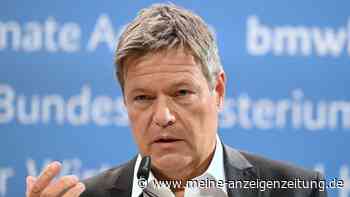 „Nicht Schreihälsen überlassen“: Habeck zurück auf X