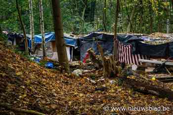 Romafamilie overleeft in sloppenwijk onder VRT-toren: “Overal hulp gezocht, nergens plek”