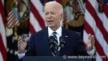 'Setbacks are unavoidable, but giving up is unforgivable': Biden gives first remarks on 2024 election, Trump transition