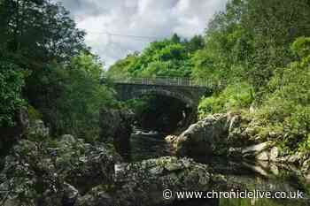 Plans for new National Park just over Scottish border go to public