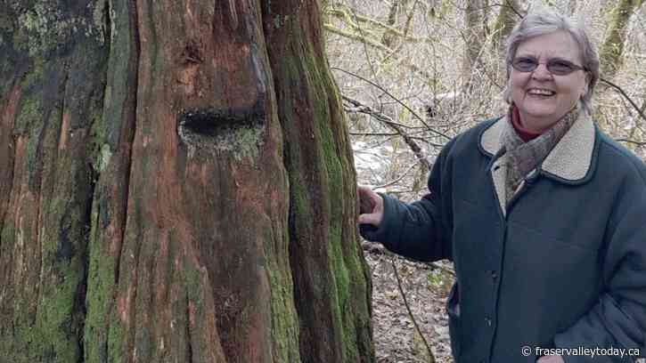 Family of missing woman says RCMP and SAR believe she ‘likely fell’ into a swollen creek