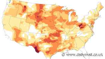 Americans told to flush toilets less as 48 states are put under drought warnings after driest spell in decades