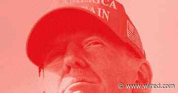 Did Elon Musk Win the Election for Trump?