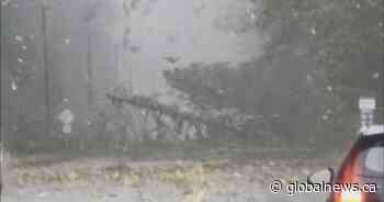 Tornado touched down on B.C.’s Sunshine Coast during storm