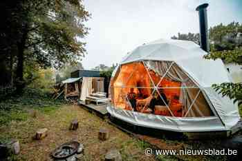 GETEST. Slapen onder de sterren in een magische dôme … in een Koerselse achtertuin
