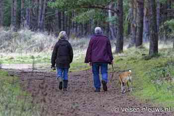 Gemeente Velsen start met hondencontrole