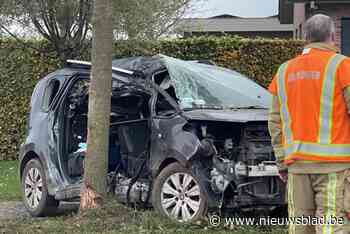 Auto knalt tegen boom: Poolse passagier zwaar gewond