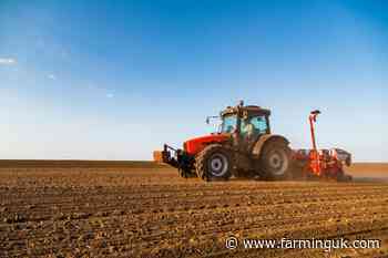 AHDB seeks two levy payers for new cereals and oilseeds committee