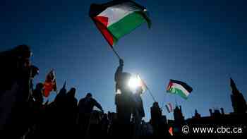 Canadian government speaking with allies about Palestinian statehood recognition, official tells MPs