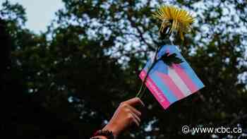 Transgender Americans brace for Trump presidency after campaign promoted anti-trans rhetoric