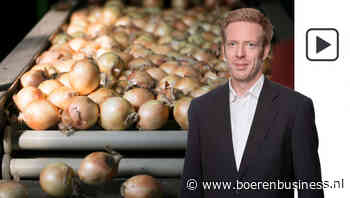 Het loopt als een zonnetje op de uienmarkt