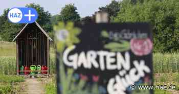 Hannover: Kleingärtner sollen Geld aus Haushalt der Stadt bekommen