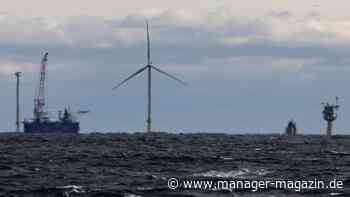 Hedgefonds kassieren 1,2 Milliarden Dollar nach Trump-Sieg