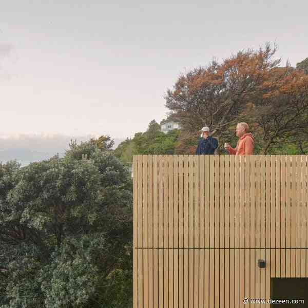 Towering house extension in New Zealand mimics "childhood treehouse"