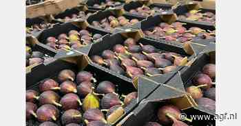 Vijgen ontbreken niet op de Franse feesttafel bij eindejaar