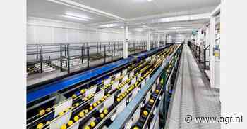 "Turkse en Egyptische citroenen vertragen vraag naar Spaans product"