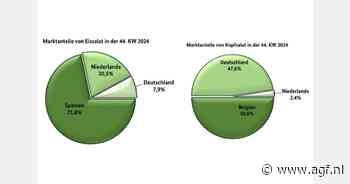 Spaanse partijen domineren Duitse markt voor ijsbergsla