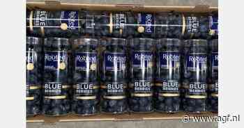 "Markt drastisch veranderd door komst Peruaanse blauwe bessen"