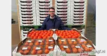 Italiaans kakiseizoen loopt nog een maand door