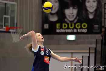 Damesvolley Gent is de favoriet in confrontatie met Saturnus Michelbeke: “Belangrijke wedstrijd indien we naar omhoog willen blijven kijken”