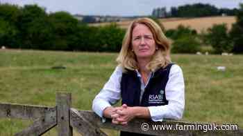 Charity urges farmers to avoid 'anxiety cycle' following budget