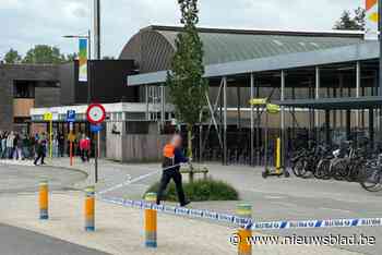 Steekpartij tussen kwetsbare tieners in Lummen, parket vraagt straf met uitstel