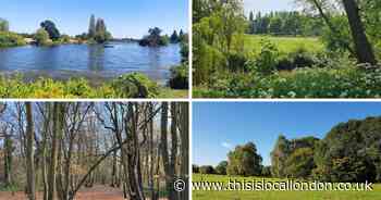 The top four walks to take a stroll down in Bexley this autumn