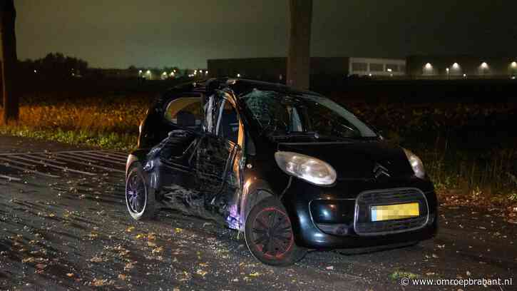 Dode en gewonde nadat auto tegen boom botst