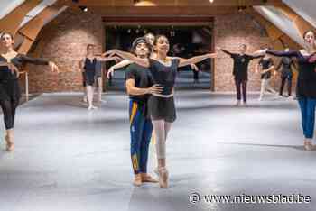 Zwanenmeer, Notenkraker en Grand Ballet Gala: eerste voorstellingen van gloednieuwe dansgezelschap Ballet del Art