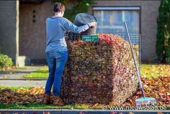 Stad plaatst 40 extra bladkorven: “Samen de straten netjes en veilig houden”