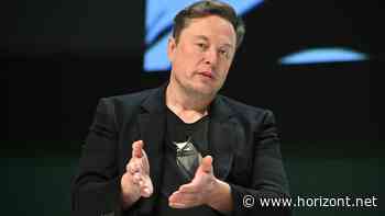 Olaf Scholz: Bundesregierung spricht nach Musk-Attacke von "Narrenfreiheit"