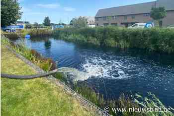 Opnieuw vervuiling aan spaarbekken James Ensorplein: “Buurt reageert gefrustreerd”