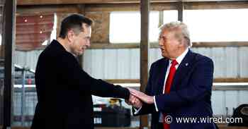 Donald Trump Isn’t the Only Chaos Agent