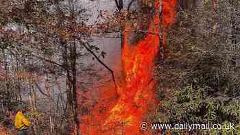 Red flag warning issued in several East Coast states 'for critical fire weather conditions'