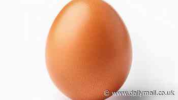 Which came first, the chicken or the egg? Scientists think they've finally cracked the age-old debate