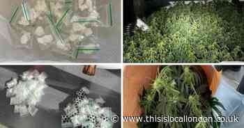 Man jailed after drugs raid in Havering uncovered cannabis farm hidden in loft