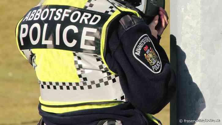 Driver who hit 2 B.C. police officers, including Abby PD constable, receives 5-year prison sentence