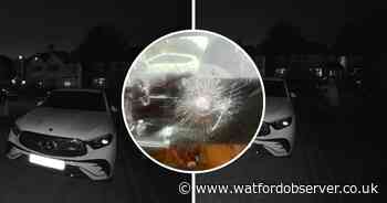 Family 'shocked' after angry man smashes car window with rock