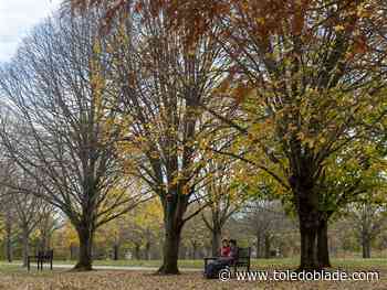 Photo gallery: Best pictures for week ending Nov. 7