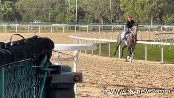 Tampa Bay Downs is ready for racing after dealing with damage from Hurricane Milton
