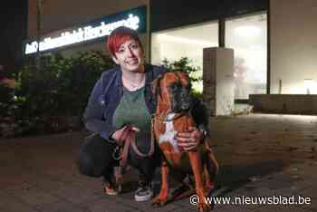 Hun trouwe viervoeter mag de baasjes wel wat kosten: “Vier- à vijfduizend euro per jaar is geen uitzondering”