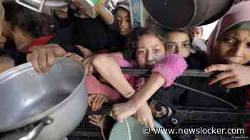 Voedselwaakhond slaat alarm over 'catastrofale hongersnood' Noord-Gaza