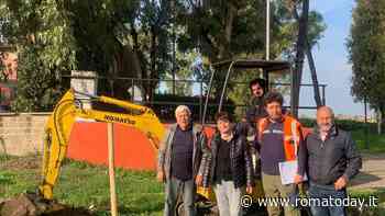 Piantumati eucalipti e querce nel Borgo di Testa di Lepre