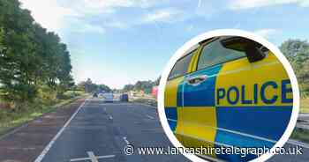 Lorry driver arrested after '17 blocks of cannabis' found inside HGV