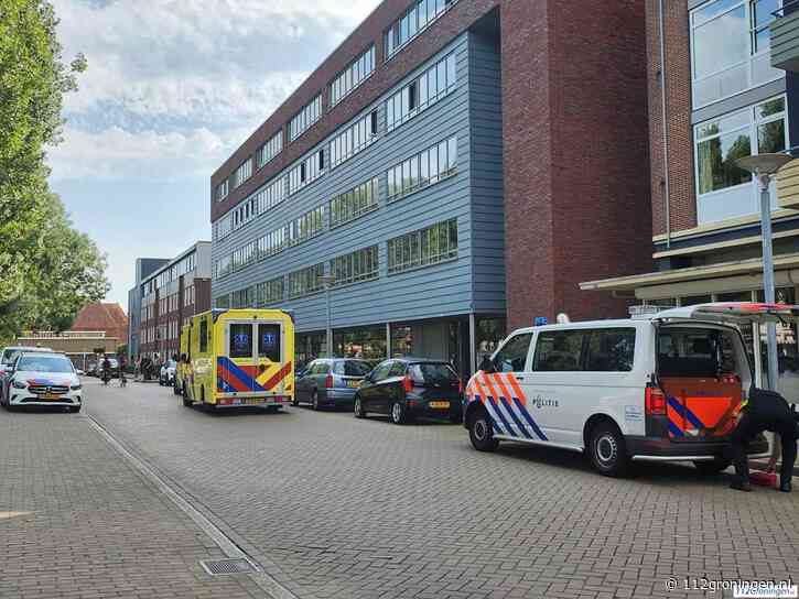 Openbaar Ministerie: Rosaria door wurging om het leven gebracht bij Linnaeusplein in Stad
