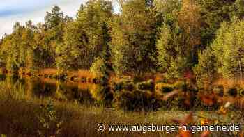 Das können Familien in der Region unternehmen