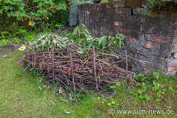 Heute bei der Gartenarbeit: auf Lebensraum des Igels achten
